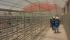 Gobierno impulsa construcción de centros hidropónicos en Oruro